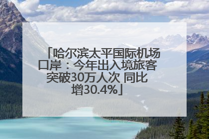 哈尔滨太平国际机场口岸：今年出入境旅客突破30万人次 同比增30.4%