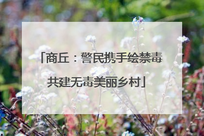 商丘：警民携手绘禁毒 共建无毒美丽乡村