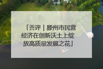 善评｜滕州市民营经济在创新沃土上绽放高质量发展之花