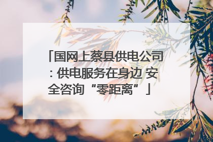 国网上蔡县供电公司：供电服务在身边 安全咨询“零距离”
