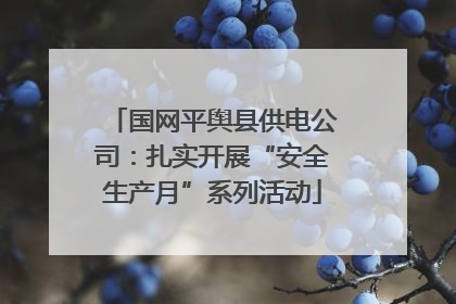 国网平舆县供电公司：扎实开展“安全生产月”系列活动