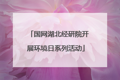 国网湖北经研院开展环境日系列活动