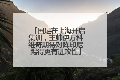 国足在上海开启集训，主帅伊万科维奇期待对阵印尼踢得更有进攻性