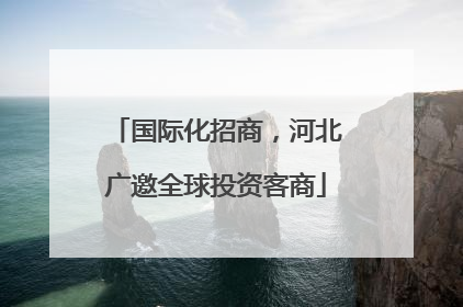 国际化招商，河北广邀全球投资客商