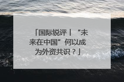 国际锐评丨“未来在中国”何以成为外资共识？