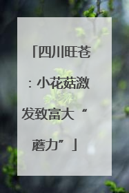 四川旺苍：小花菇激发致富大“蘑力”