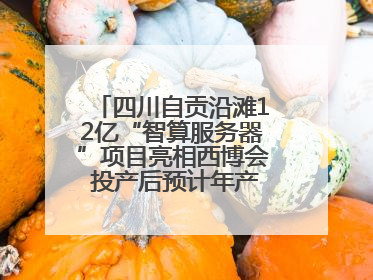 四川自贡沿滩12亿“智算服务器”项目亮相西博会 投产后预计年产值达15亿元