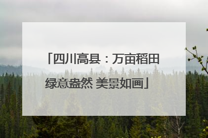 四川高县：万亩稻田绿意盎然 美景如画