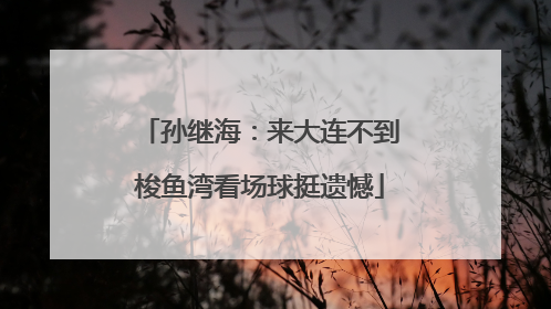 孙继海：来大连不到梭鱼湾看场球挺遗憾