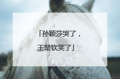 孙颖莎哭了,王楚钦笑了