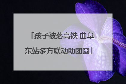 孩子被落高铁 曲阜东站多方联动助团圆