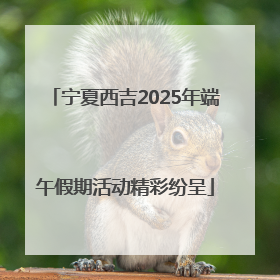 宁夏西吉2025年端午假期活动精彩纷呈