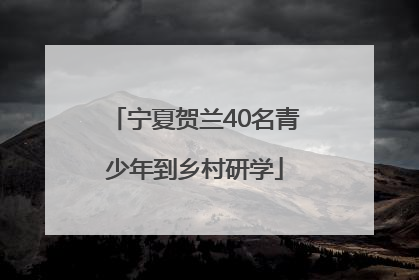 宁夏贺兰40名青少年到乡村研学