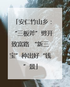 安仁竹山乡：“三板斧”劈开致富路 “新三宝”种出好“钱”景