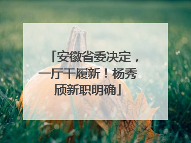 安徽省委决定，一厅干履新！杨秀颀新职明确