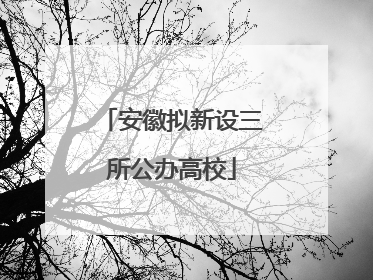 安徽拟新设三所公办高校