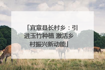 宜章县长村乡：引进玉竹种植 激活乡村振兴新动能
