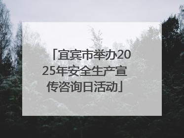 宜宾市举办2025年安全生产宣传咨询日活动