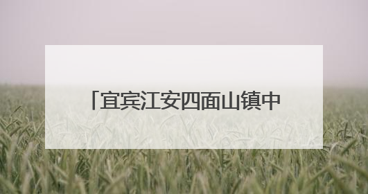 宜宾江安四面山镇中心幼儿园党支部开展“同读一本书”活动