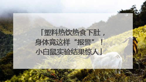 塑料热饮热食下肚，身体竟这样“报警”！小白鼠实验结果惊人