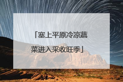 塞上平原冷凉蔬菜进入采收旺季