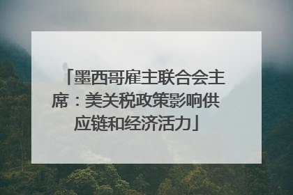 墨西哥雇主联合会主席：美关税政策影响供应链和经济活力