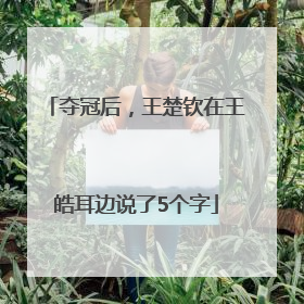 夺冠后，王楚钦在王皓耳边说了5个字