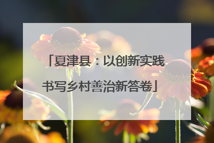 夏津县：以创新实践书写乡村善治新答卷