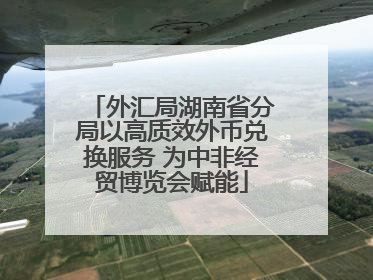外汇局湖南省分局以高质效外币兑换服务 为中非经贸博览会赋能