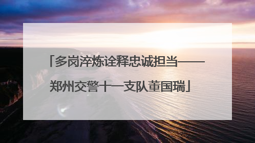 多岗淬炼诠释忠诚担当——郑州交警十一支队董国瑞