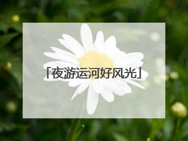 夜游运河好风光