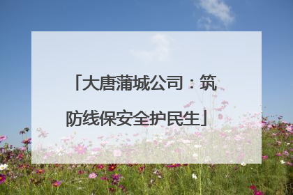 大唐蒲城公司：筑防线保安全护民生