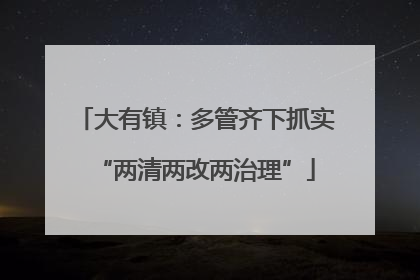 大有镇：多管齐下抓实“两清两改两治理”