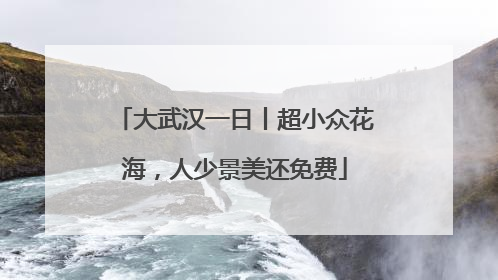 大武汉一日丨超小众花海，人少景美还免费