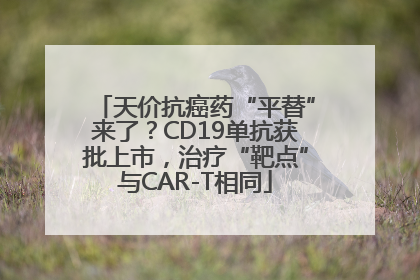 天价抗癌药“平替”来了?CD19单抗获批上市,治疗“靶点”与CAR-T相同