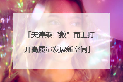 天津乘“数”而上打开高质量发展新空间