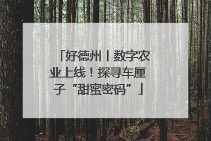 好德州丨数字农业上线！探寻车厘子“甜蜜密码”