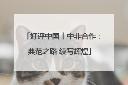 好评中国丨中非合作：典范之路 续写辉煌
