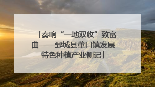 奏响“一地双收”致富曲——鄄城县董口镇发展特色种植产业侧记