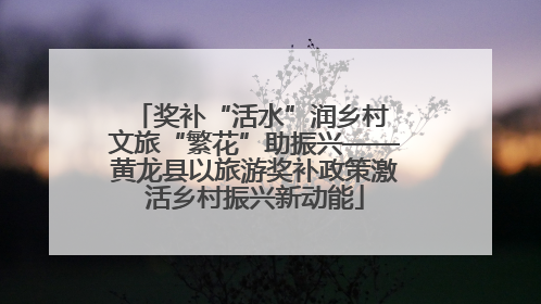奖补“活水”润乡村 文旅“繁花”助振兴——黄龙县以旅游奖补政策激活乡村振兴新动能