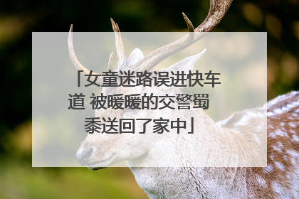 女童迷路误进快车道 被暖暖的交警蜀黍送回了家中