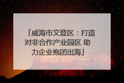 威海市文登区：打造对非合作产业园区 助力企业抱团出海