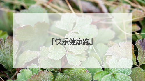 快乐健康跑