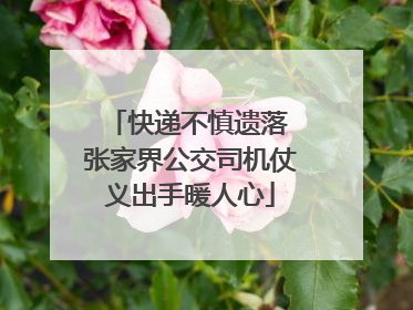 快递不慎遗落 张家界公交司机仗义出手暖人心