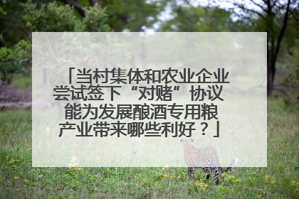 当村集体和农业企业尝试签下“对赌”协议 能为发展酿酒专用粮产业带来哪些利好？