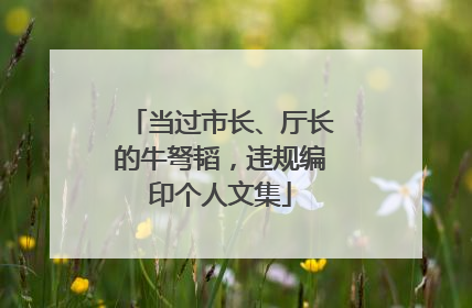 当过市长、厅长的牛弩韬，违规编印个人文集