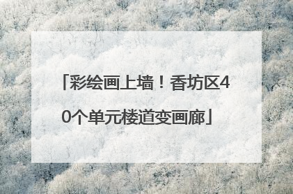 彩绘画上墙！香坊区40个单元楼道变画廊