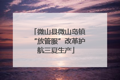 微山县微山岛镇“放管服”改革护航三夏生产