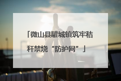 微山县驩城镇筑牢秸秆禁烧“防护网”