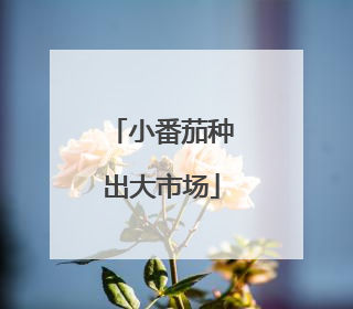 小番茄种出大市场